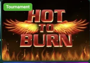 hot to burn game