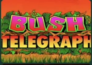 bush telegraph slot